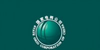 國家電網(wǎng)成<font color=