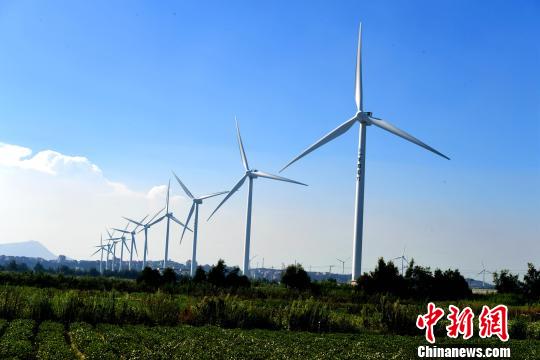 莆田沿海整齊的風力發(fā)電設備?！⊥鯑|明 攝