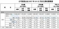 國(guó)投電力2017年發(fā)電量1289.49億千瓦時(shí) 同比增長(zhǎng)7.07%
