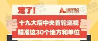 定了！華電集團、中核集團將接受十九屆中央第一輪巡視
