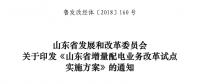 山東省增量配電業(yè)務(wù)改革試點(diǎn)實施方案印發(fā)：確定6個區(qū)域開展增量配電業(yè)務(wù)改革試點(diǎn)
