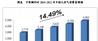 未來(lái)5年年中國(guó)天然氣行業(yè)供需前景預(yù)測(cè)分析