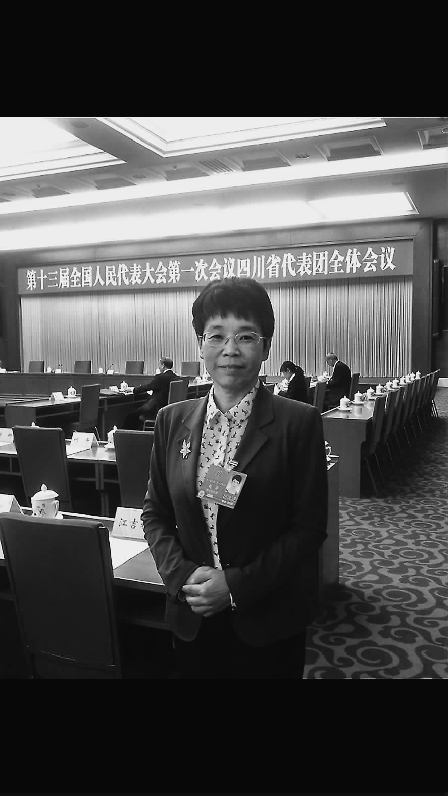 兩會(huì)訪(fǎng)談丨趙萍：系統(tǒng)降本促風(fēng)電高質(zhì)量開(kāi)發(fā)