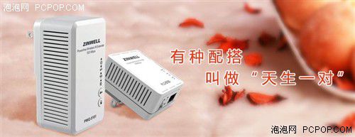 電力貓的版本眾多，從電力線傳輸技術上就可以分為HomePlug和G.hn，采用相同電力線通信技術的電力貓還可以分為有線電力貓和無線電力貓，而在無線電力貓中還有無線AP和無線路由的區(qū)別。外觀功能上的區(qū)別就更大了，以ZINWELL為例，就先后推出了單口有線電力貓，帶電源延長線的電力貓，多口有線電力貓，電力貓無線路由器，無線AP電力貓，帶電源插座的電力貓等。