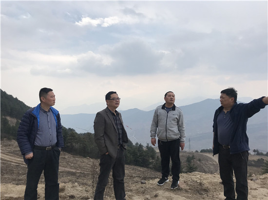 蘭樹林檢察長實地調(diào)研協(xié)調(diào)解決清溪風電建設遺留問題