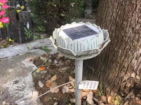 墓地傳來哭聲 周圍卻沒有人影 清明節(jié)你被光伏嚇著了嗎？