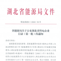 湖北省首批68家售電公司通過公示！4月20日前辦理注冊手續(xù)