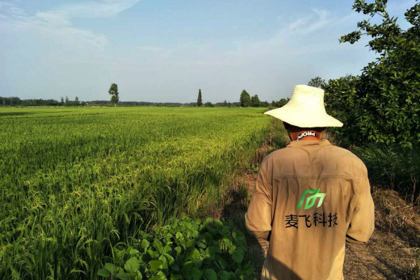 “AI+遙感”覬覦萬(wàn)億級(jí)智慧農(nóng)業(yè)市場(chǎng)，這次沒(méi)有中間商賺差價(jià) 