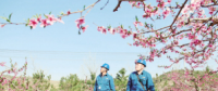 世界一流能源互聯(lián)網(wǎng)企業(yè)怎么建？國(guó)網(wǎng)已簽訂39個(gè)增量配電試點(diǎn)項(xiàng)目合作意向書
