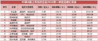 一季度45家光伏企業(yè)業(yè)績(jī)榜單登場(chǎng)：超八成飄紅，兩級(jí)分化現(xiàn)象嚴(yán)重