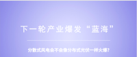 分散式風電：重大模式調整能否減少棄風？ 