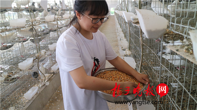 一個(gè)“80”后研究生的“綠色農(nóng)業(yè)夢(mèng)”：用“互聯(lián)網(wǎng)+”思維做農(nóng)業(yè)，新型職業(yè)農(nóng)民“潮”起來(lái)