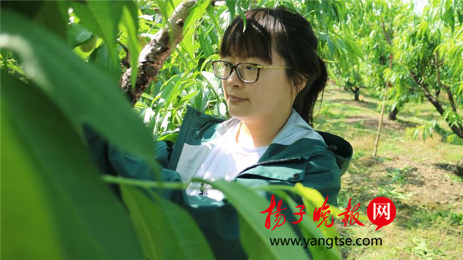 一個(gè)“80”后研究生的“綠色農(nóng)業(yè)夢(mèng)”：用“互聯(lián)網(wǎng)+”思維做農(nóng)業(yè)，新型職業(yè)農(nóng)民“潮”起來(lái)