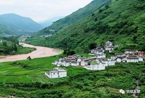 移動(dòng)互聯(lián)網(wǎng)走進(jìn)農(nóng)村，推動(dòng)農(nóng)業(yè)產(chǎn)業(yè)的智慧化轉(zhuǎn)型升級(jí) 