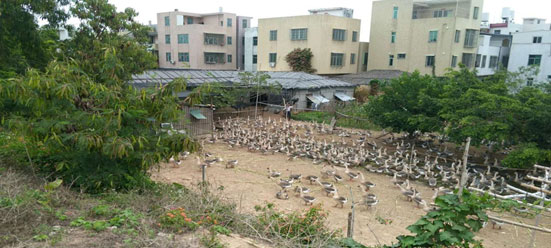 水源地專項督查曝光第二批環(huán)境違法問題