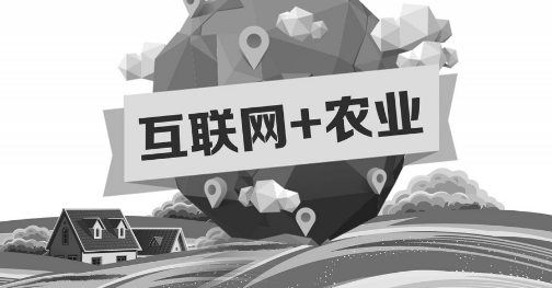 A5創(chuàng)業(yè)項目推薦：互聯(lián)網(wǎng)+農(nóng)業(yè)能碰撞出怎樣的新發(fā)展？
