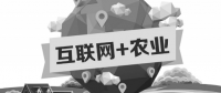 A5創(chuàng)業(yè)項(xiàng)目推薦：互聯(lián)網(wǎng)+農(nóng)業(yè)能碰撞出怎樣的新發(fā)展？