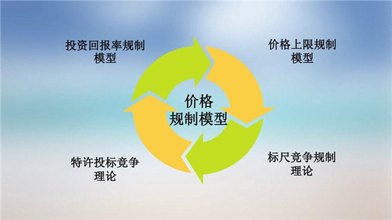 我國電力價(jià)格規(guī)制現(xiàn)狀、存在的問題及原因分析