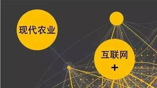 顛覆！裂變！賦能！互聯(lián)網(wǎng)+農(nóng)業(yè)領(lǐng)域的“豬飛起來了”