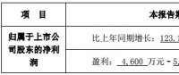 隆基、晶科齊發(fā)聲 “531”利大于弊？