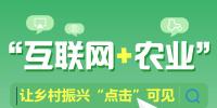 圖解丨“互聯(lián)網(wǎng) 農(nóng)業(yè)”讓鄉(xiāng)村振興“點(diǎn)擊”可見