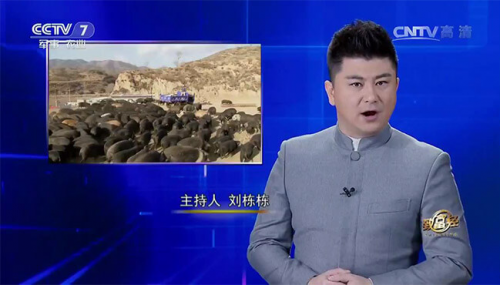 互聯(lián)網(wǎng)+農(nóng)業(yè)眾籌只賺吆喝 利潤全被用戶拿走了？