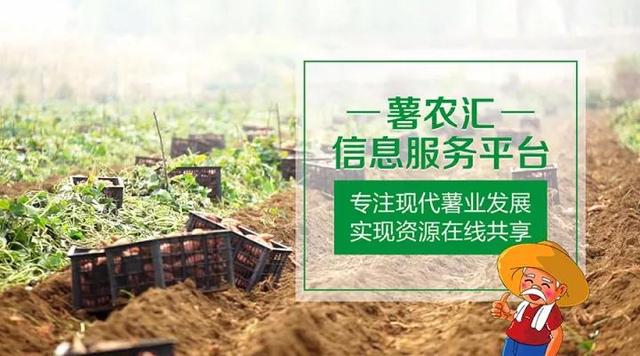 “互聯(lián)網(wǎng)+農(nóng)業(yè)”，創(chuàng)造農(nóng)村發(fā)展新活力