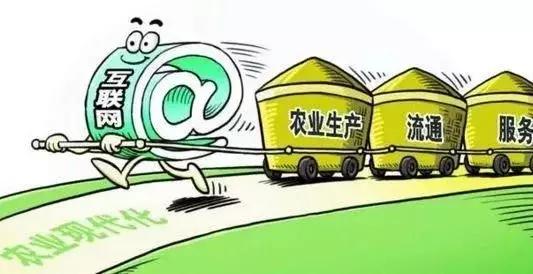 2018年農(nóng)村電商巨頭卡位戰(zhàn)：互聯(lián)網(wǎng)+農(nóng)業(yè)新玩法！