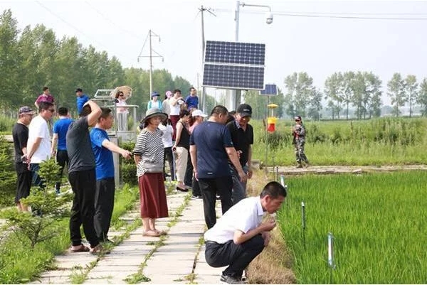 黑龍江落實“互聯(lián)網(wǎng)+農(nóng)業(yè)”高標準示范基地1458個