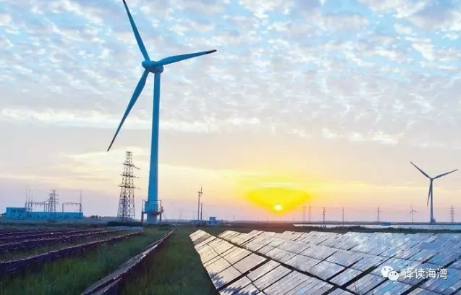 低價中標？400MW風電項目收到4份正式報價