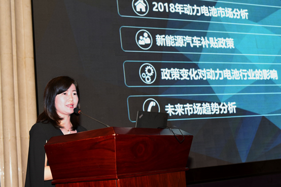 張雨：補貼政策退坡將對動力電池行業(yè)格局產(chǎn)生重大影響