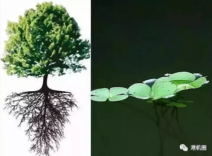 插樁式、坐底式 詳解海上風(fēng)電安裝平臺(tái)的作業(yè)方式
