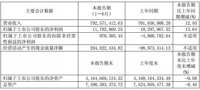 華儀電氣：上半年風電營收3.57億元 完成6MW海上風機概念設(shè)計、簽訂32萬千瓦風電場開發(fā)協(xié)議！