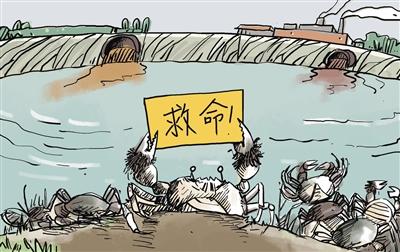 上游污水“毒死”萬畝大閘蟹，誰擔其責？