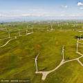 百萬千瓦風電無法并網 電網稱因生態(tài)保護通道建設受阻