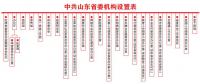 重磅！山東將設(shè)能源局 12月底前完成