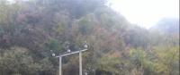 湖北整治關(guān)停100多座小水電站 , 其中宜昌48座、神農(nóng)架林區(qū)21座、恩施20座
