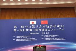 安倍晉三訪華 協(xié)鑫、天合和晶科為光伏行業(yè)長臉了！