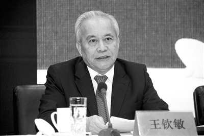 十二屆全國政協副主席、國家電子政務專家委員會主任王欽敏