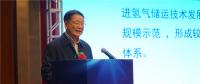 中國(guó)能源研究會(huì)副秘書長(zhǎng)王凡：截止到2018年7月 我國(guó)有近20座城市規(guī)劃和布局發(fā)展氫能與燃料電池產(chǎn)業(yè)