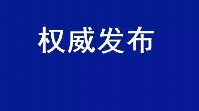 2020國民經(jīng)濟(jì)和社會發(fā)展計劃草案：建設(shè)全國統(tǒng)一電力市場