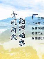 讀圖｜2020政府工作報告中這些內(nèi)容，和能源電力有關(guān)！