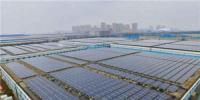 國內(nèi)最大自發(fā)自用平價上網(wǎng)的屋頂分布式光伏項(xiàng)目全額并網(wǎng)