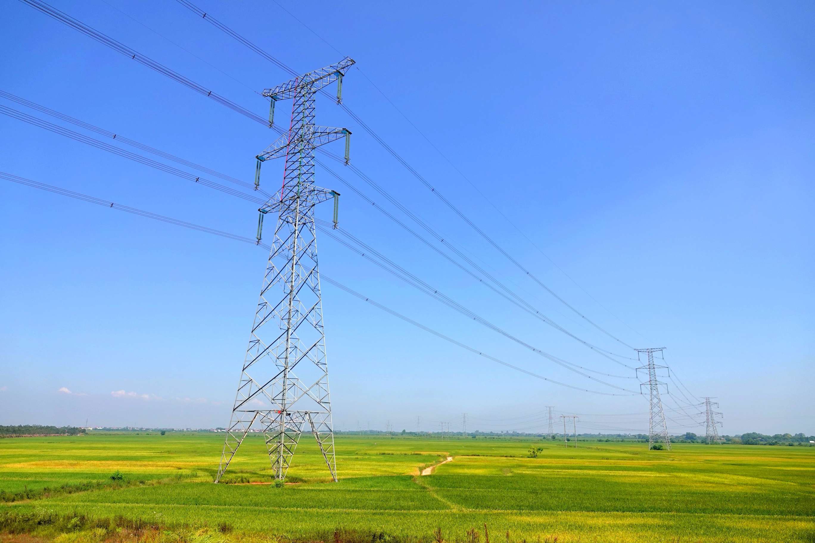 電力市場(chǎng)_電力行業(yè)it市場(chǎng)_《中國(guó)電力報(bào)》采訪并報(bào)道\